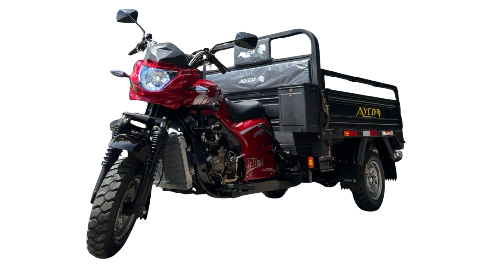 AY200ZH-2 (1)